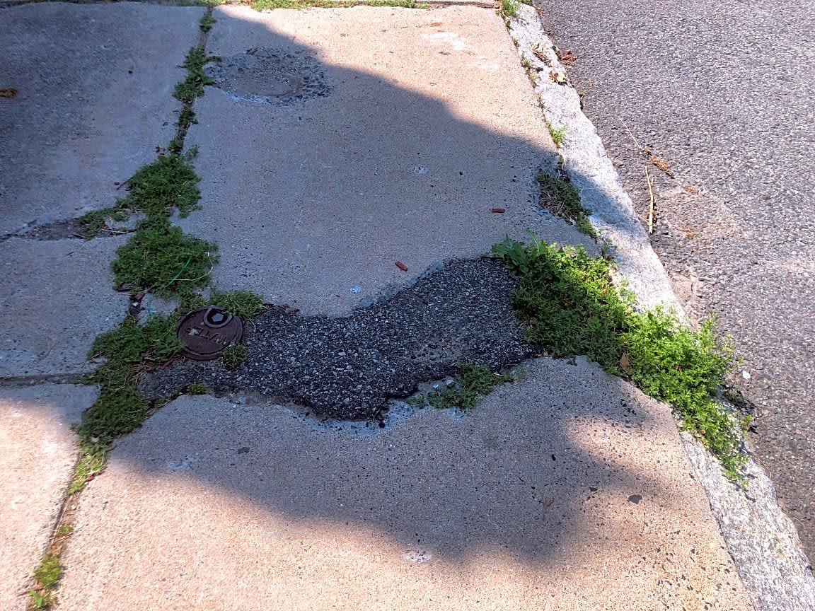 Image submitted with report