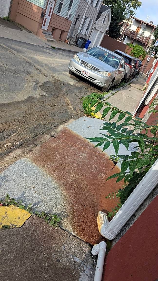 Image submitted with report