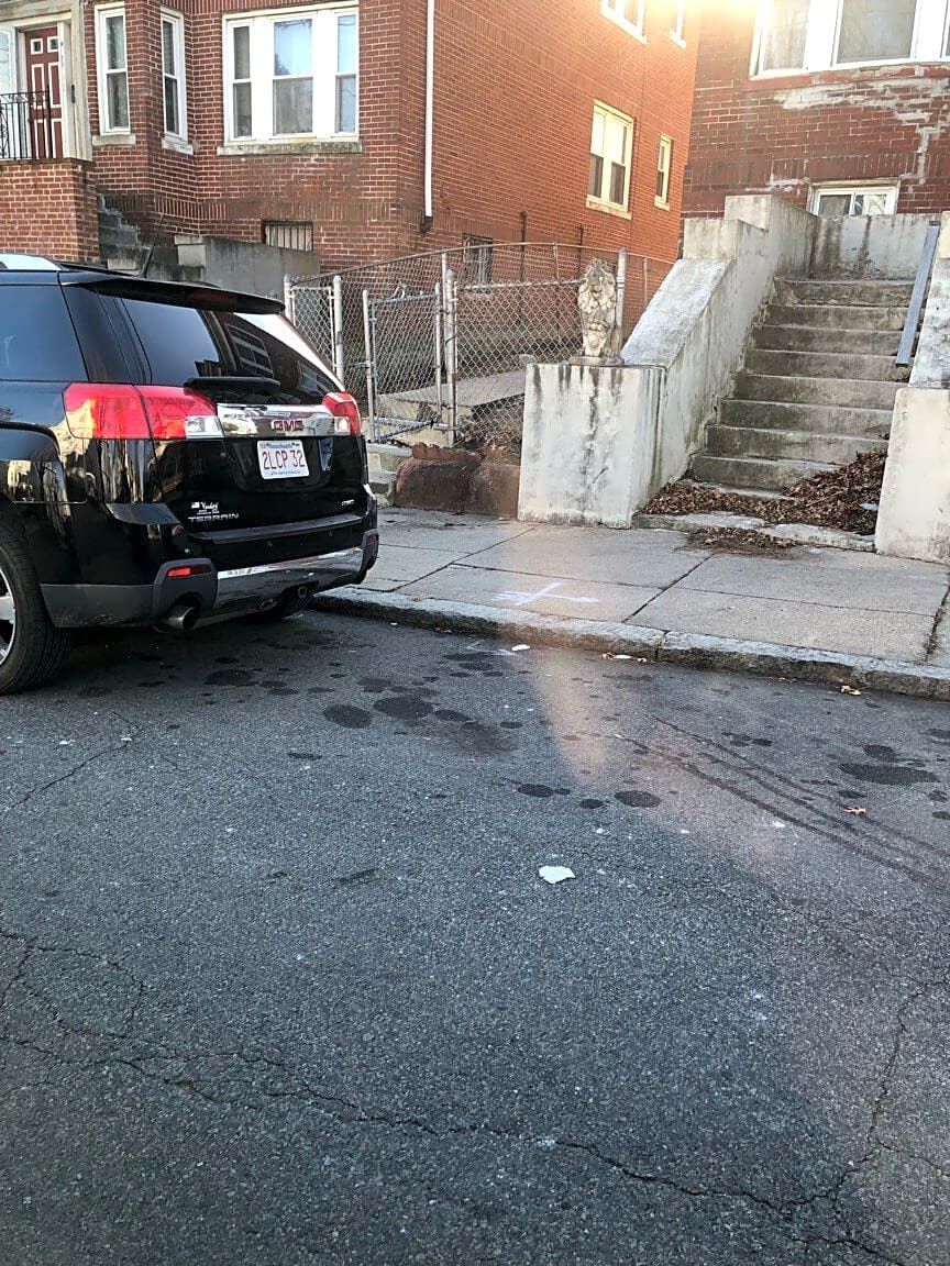 Image submitted with report