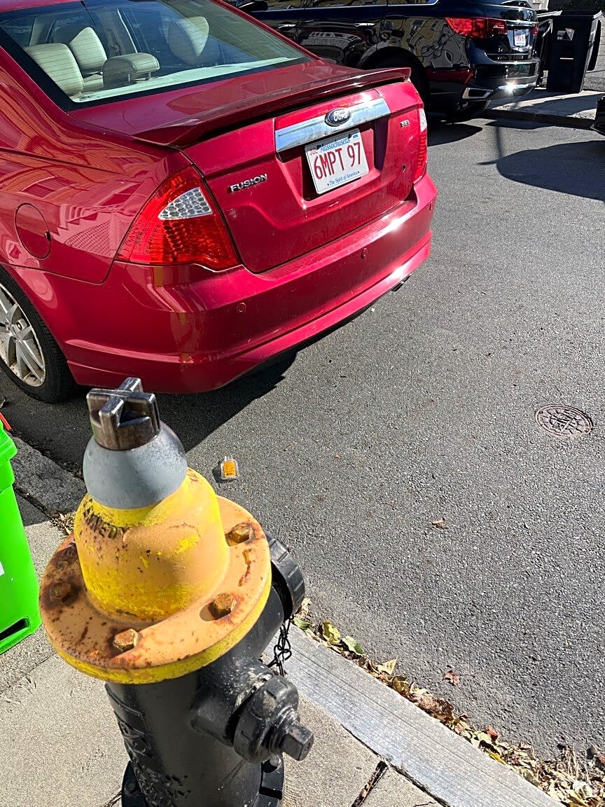 Image submitted with report