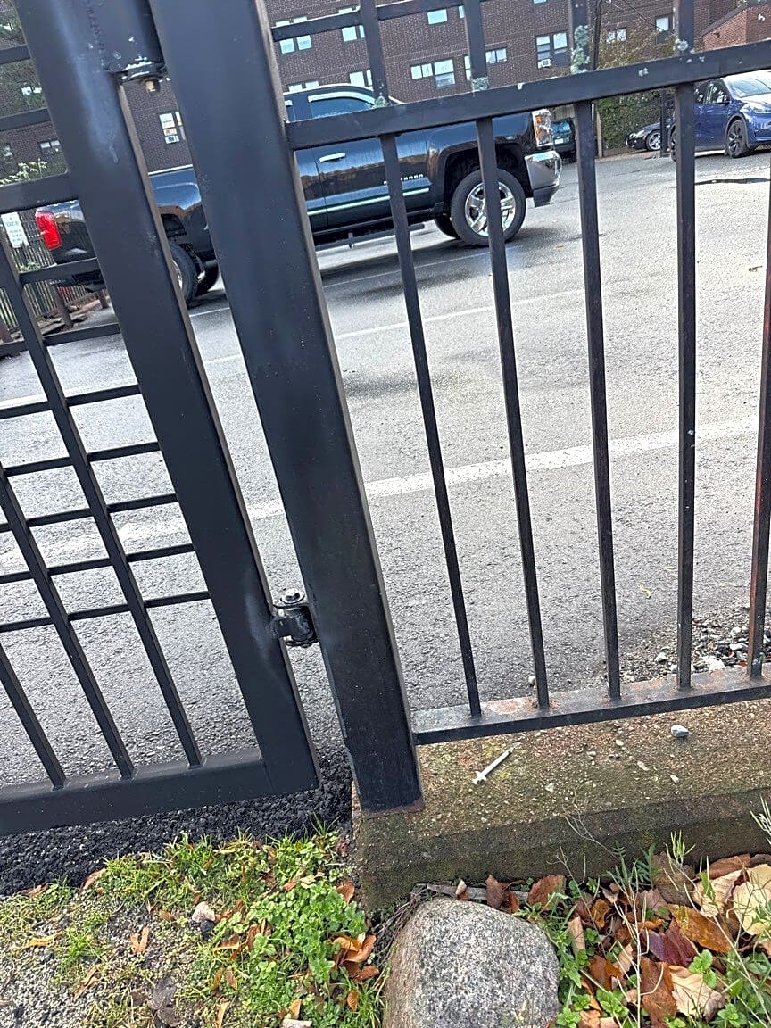 Image submitted with report