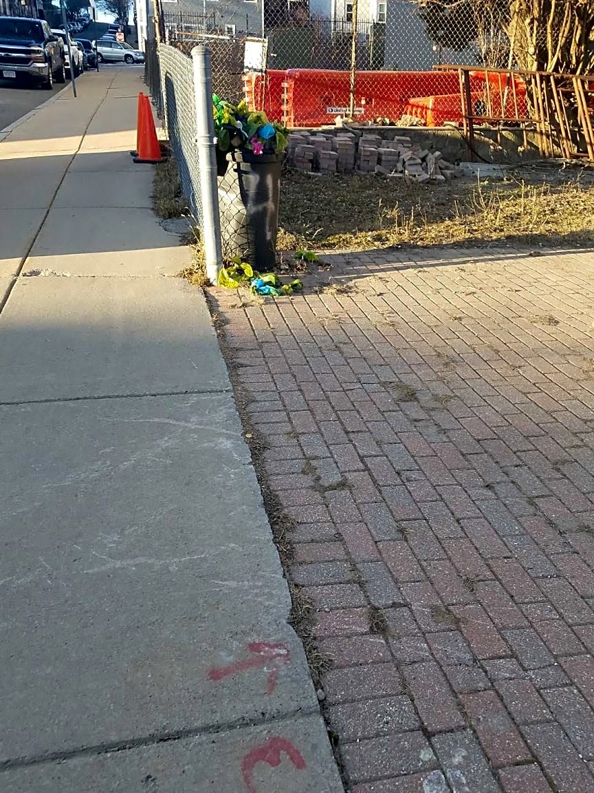 Image submitted with report
