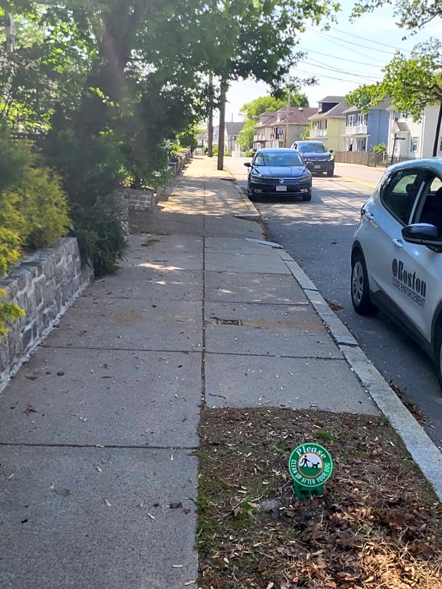 Image submitted with report