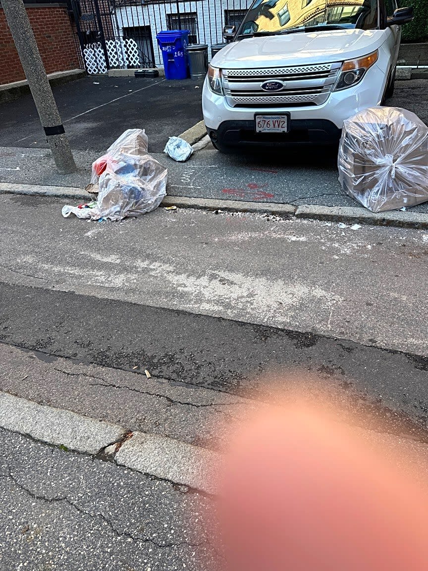 Image submitted with report