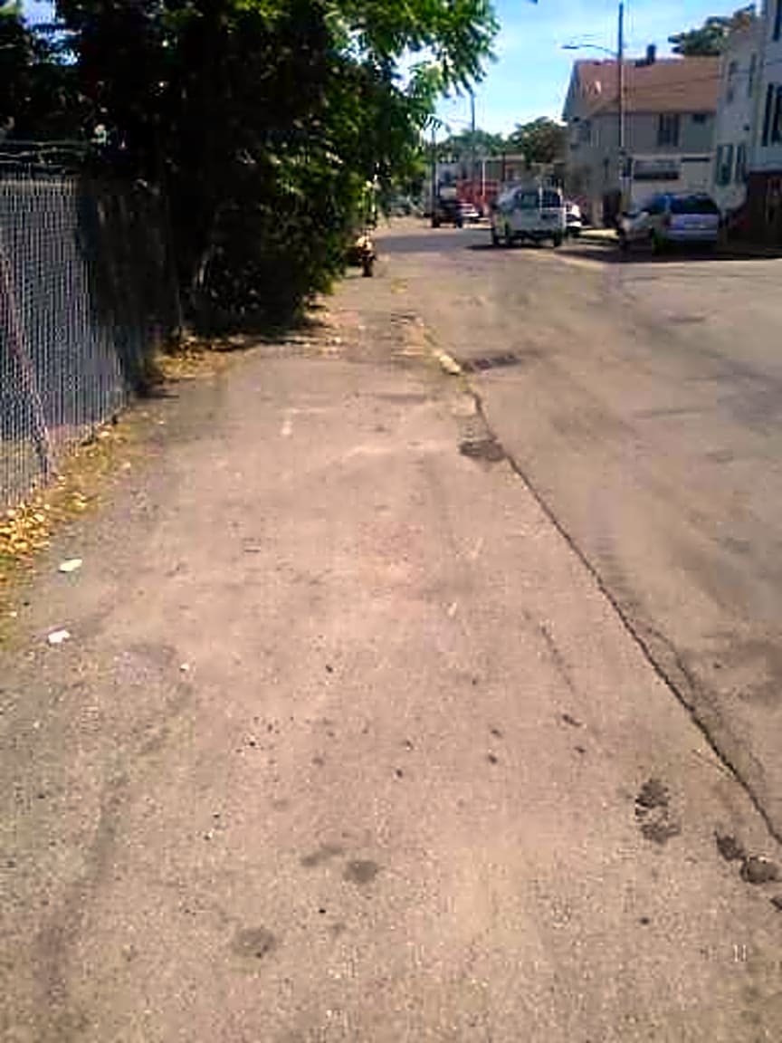 Image submitted with report