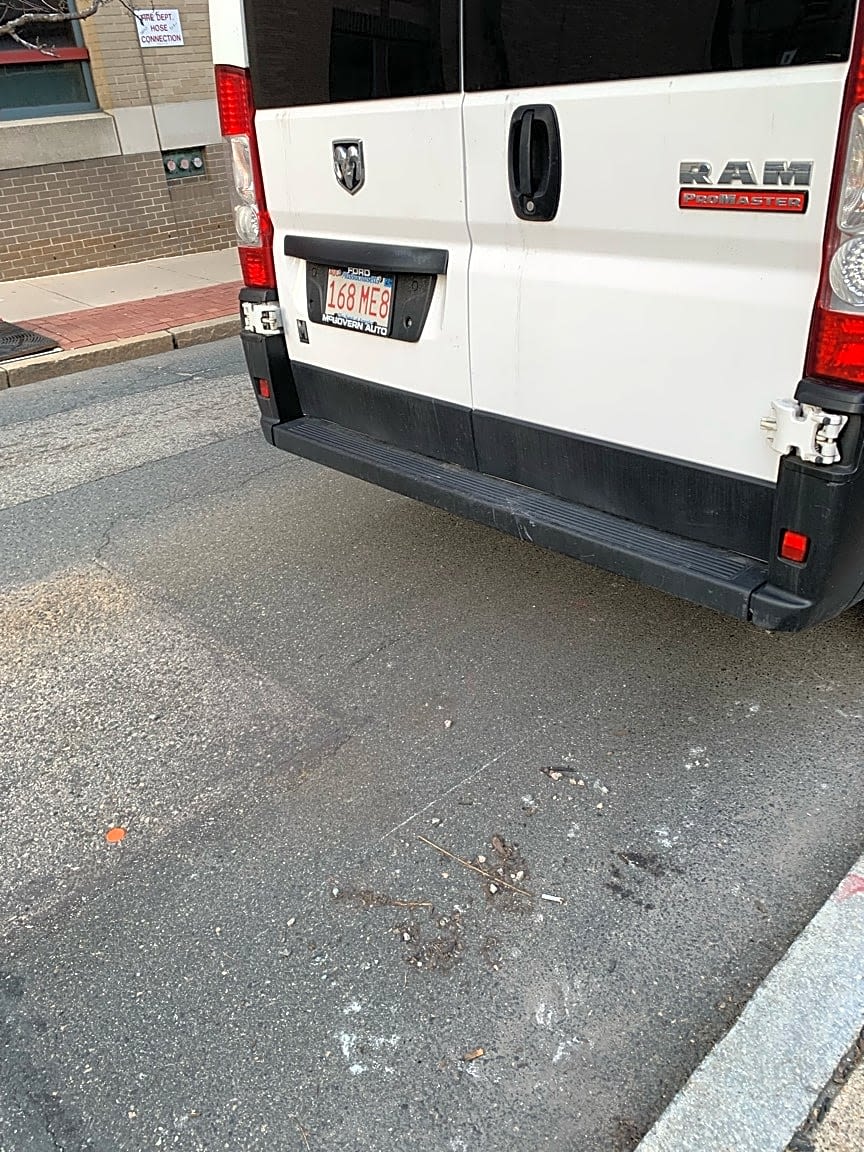 Image submitted with report