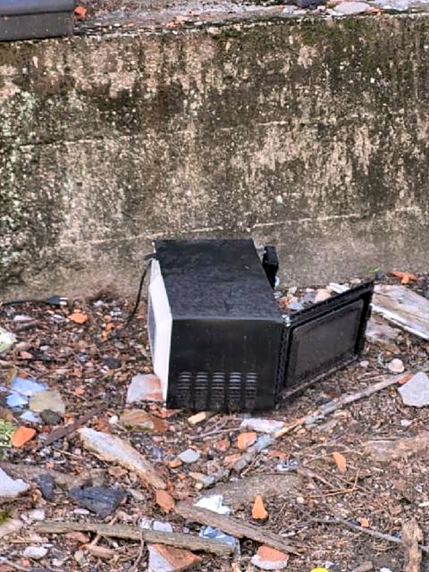 Image submitted with report