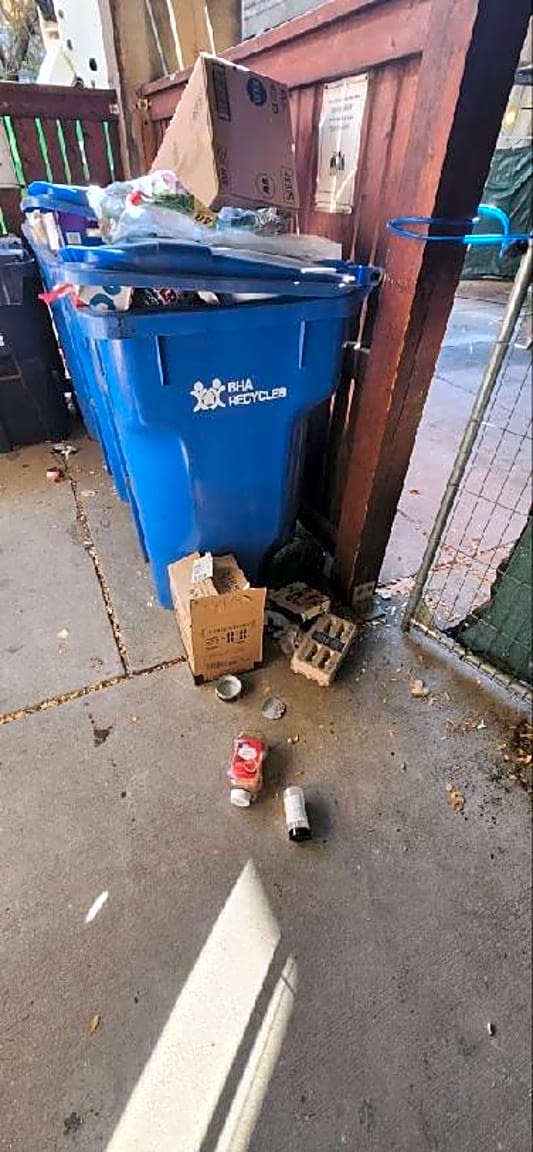 Image submitted with report