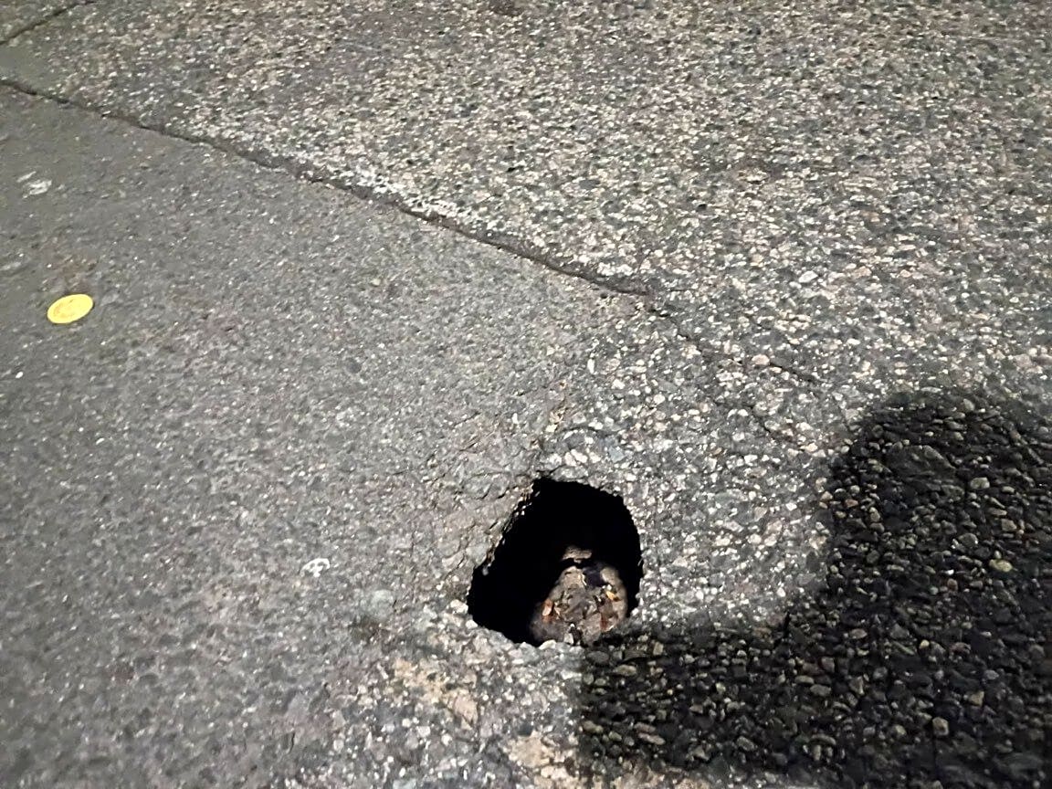 Image submitted with report