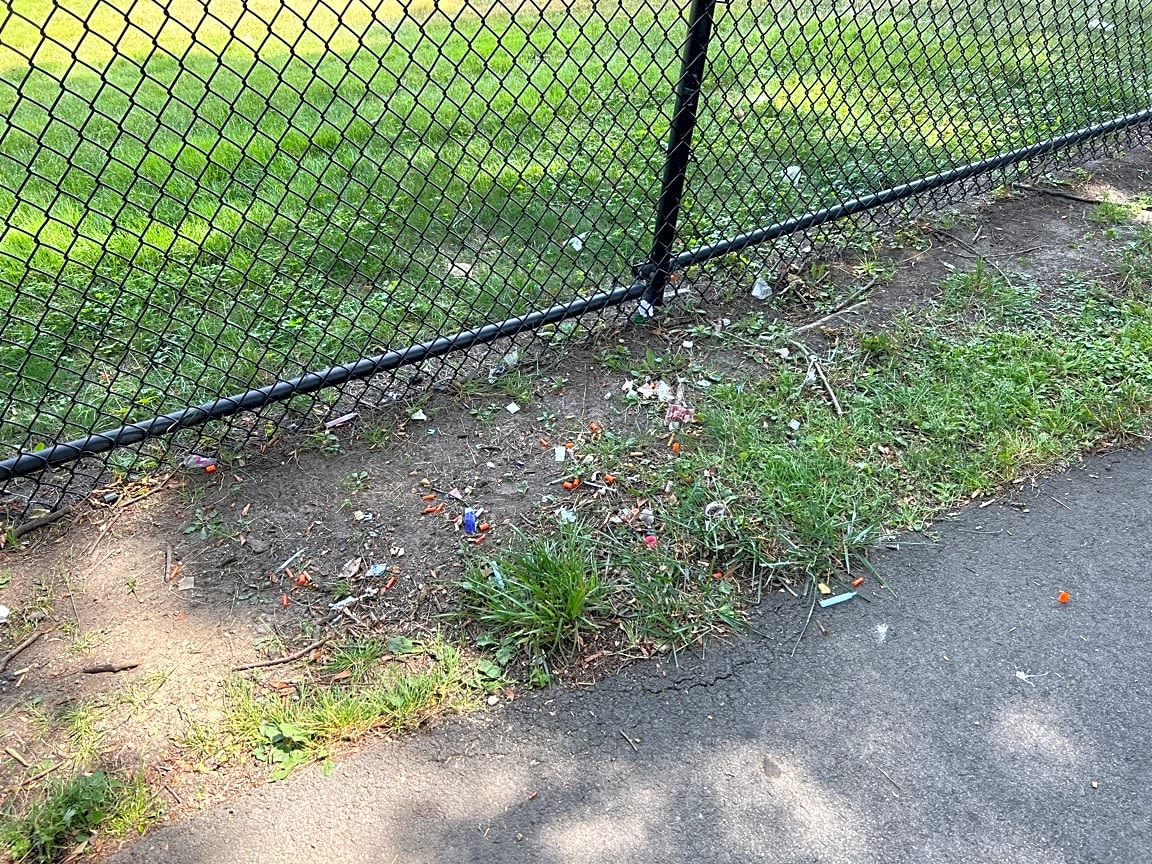 Image submitted with report