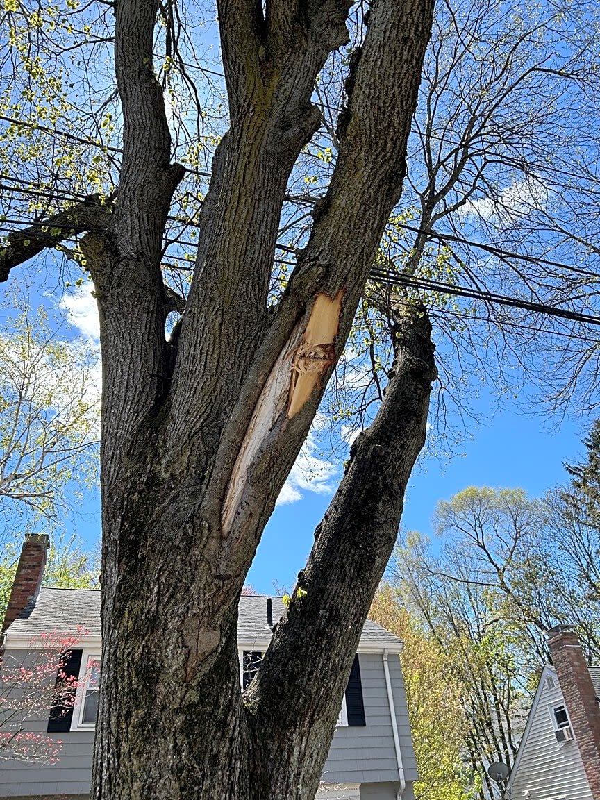 Boston