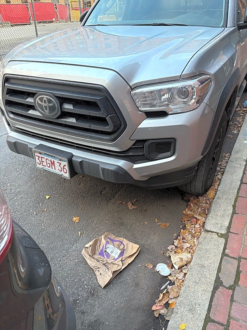 Image submitted with report