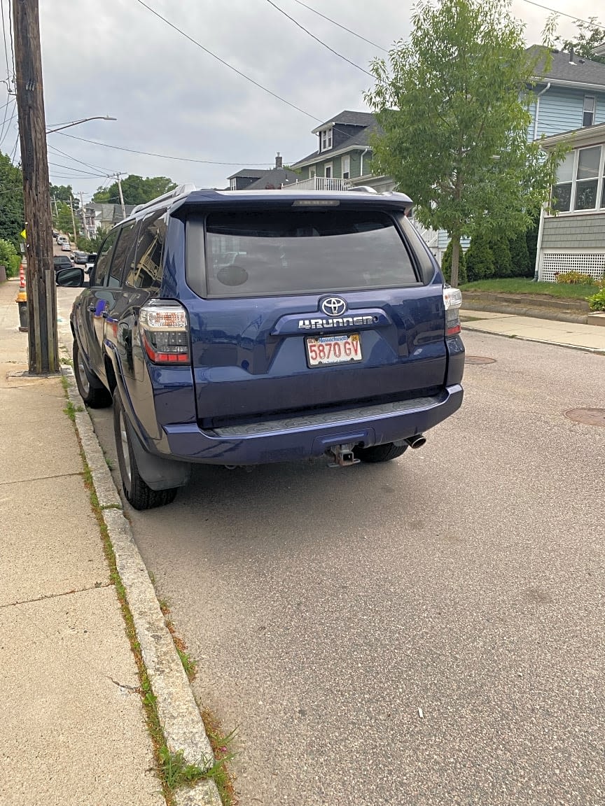 Image submitted with report