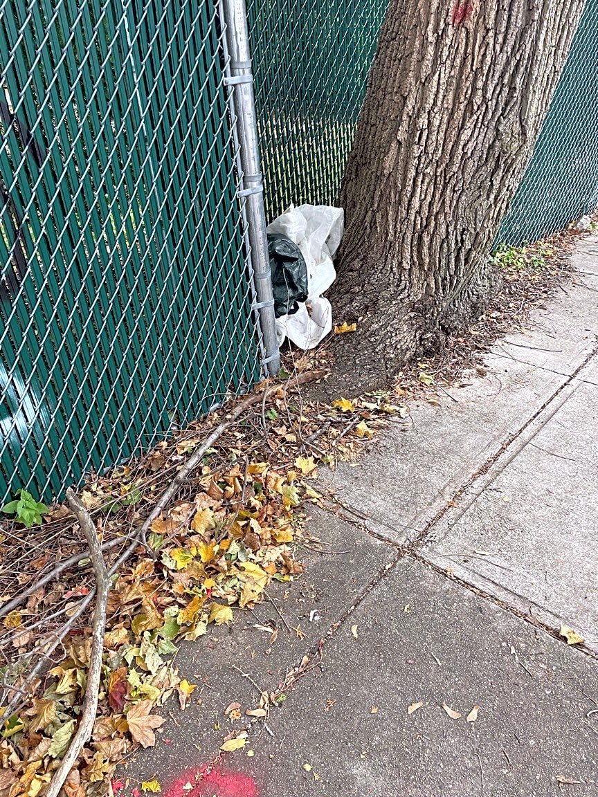 Image submitted with report