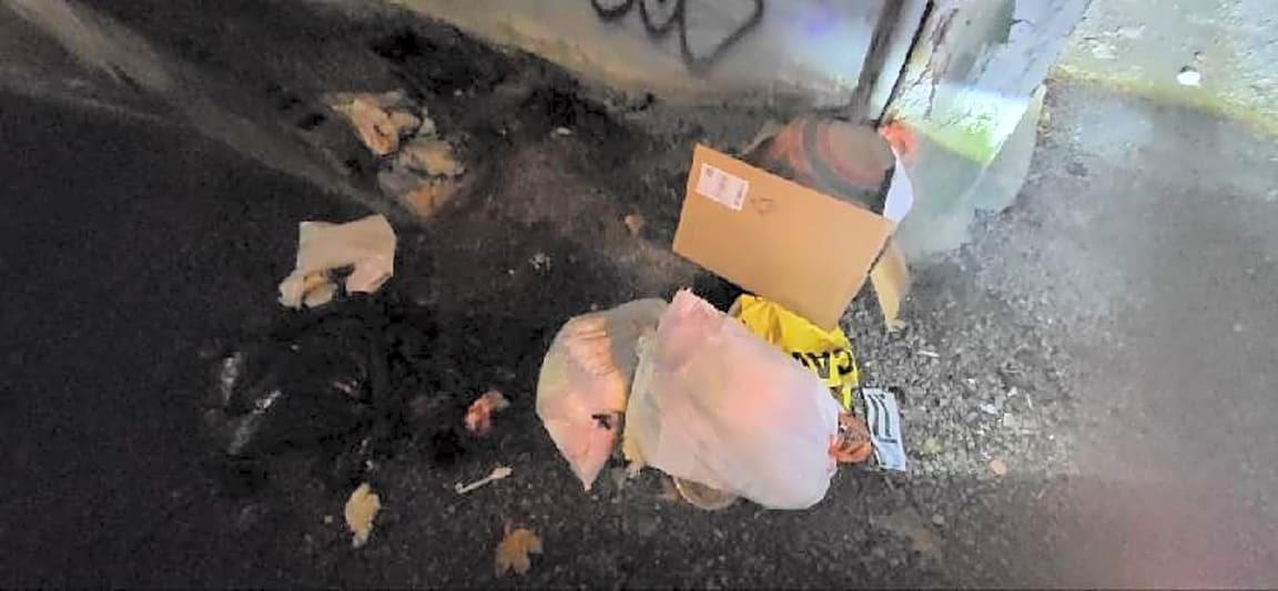 Image submitted with report