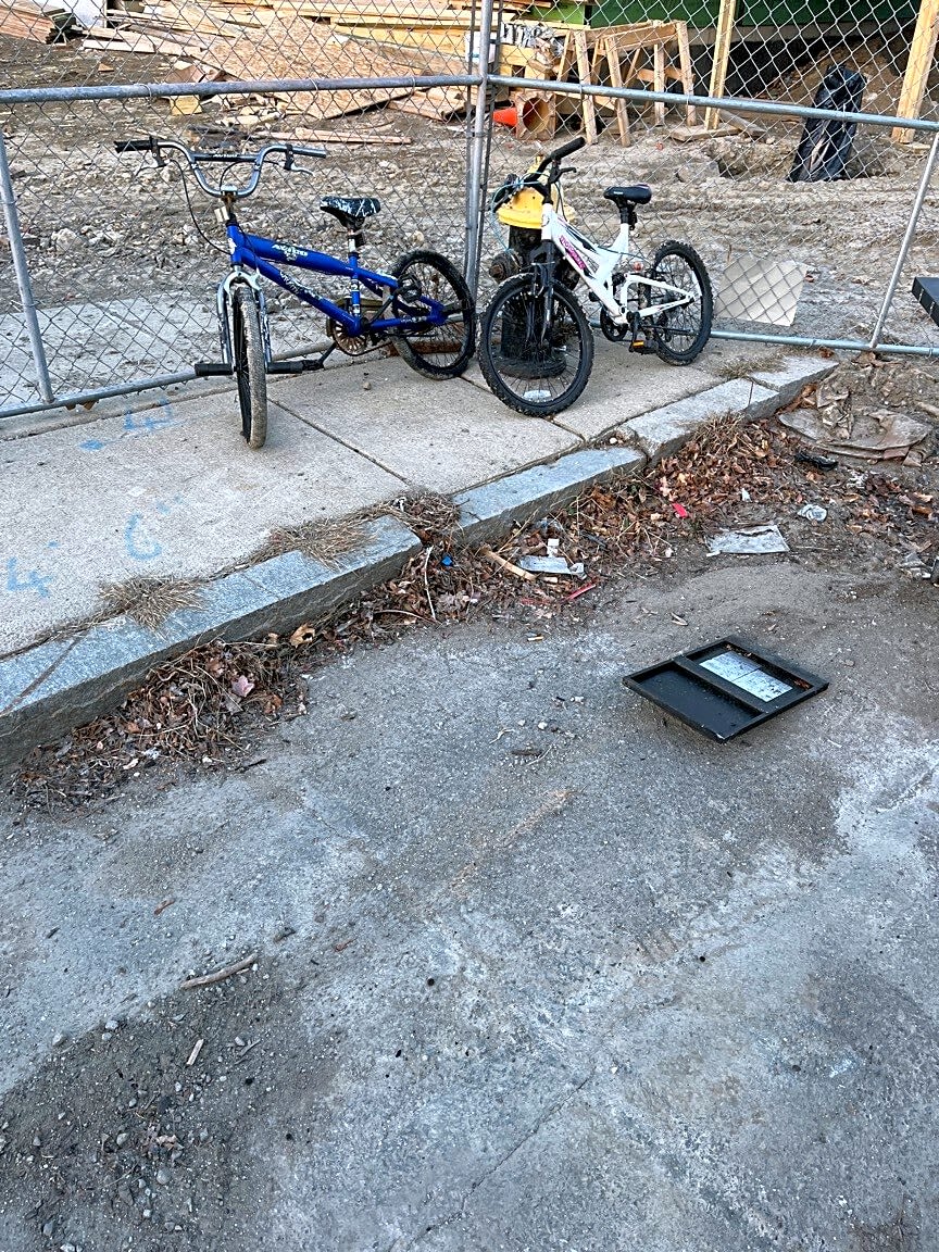 Image submitted with report