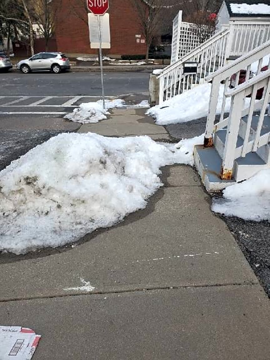 Image submitted with report