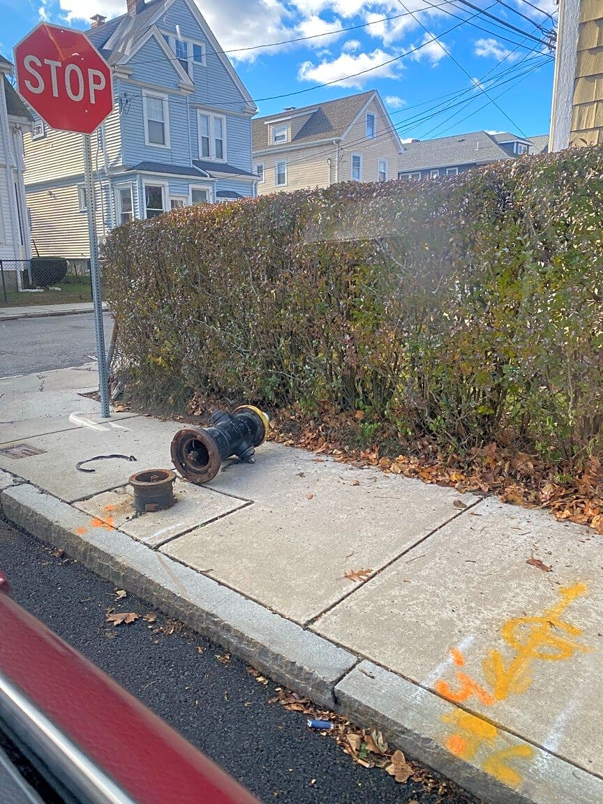 Image submitted with report