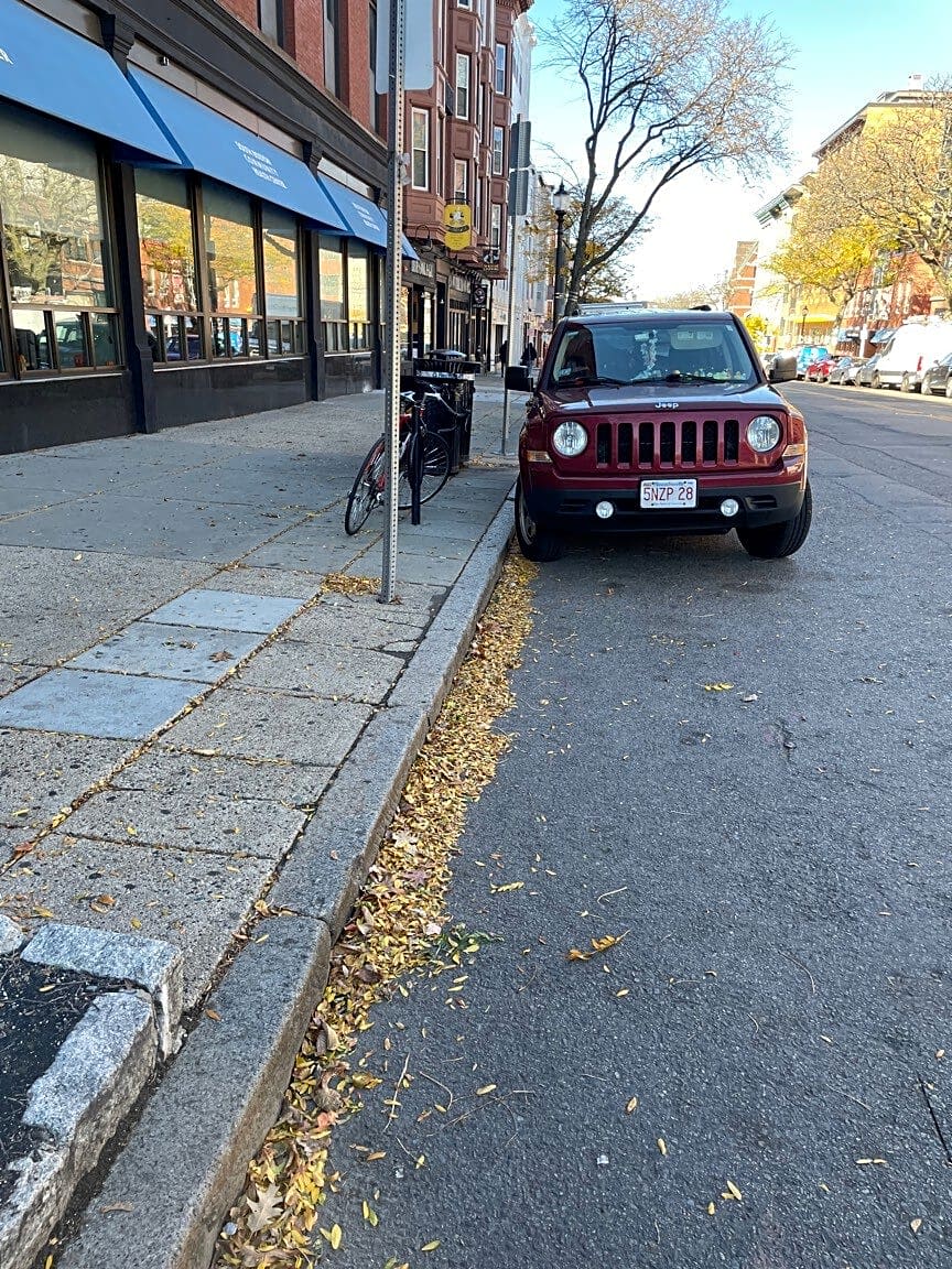 Image submitted with report