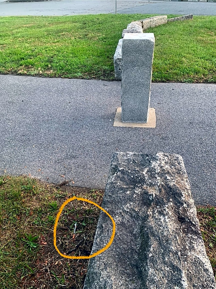 Image submitted with report