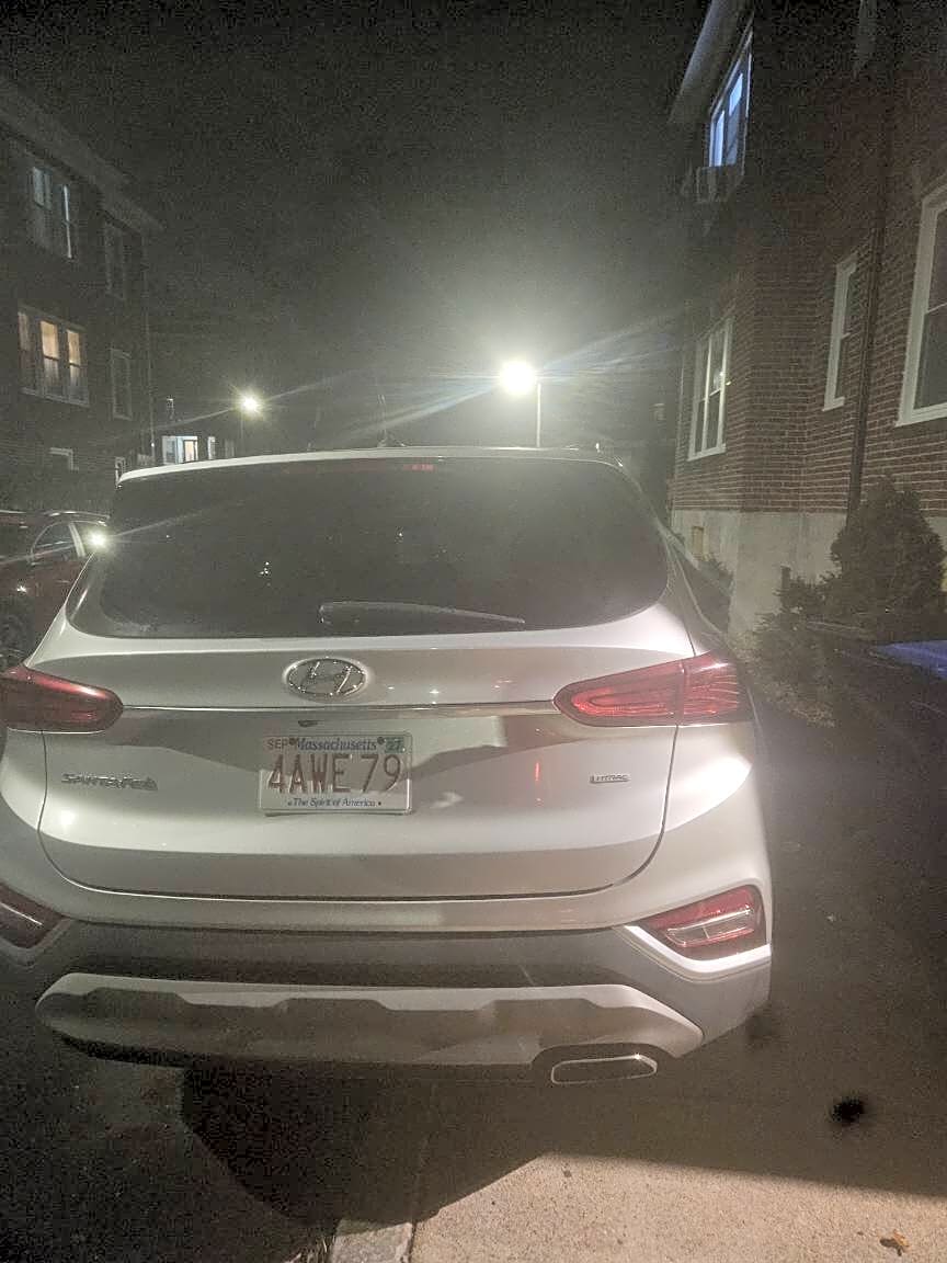 Image submitted with report