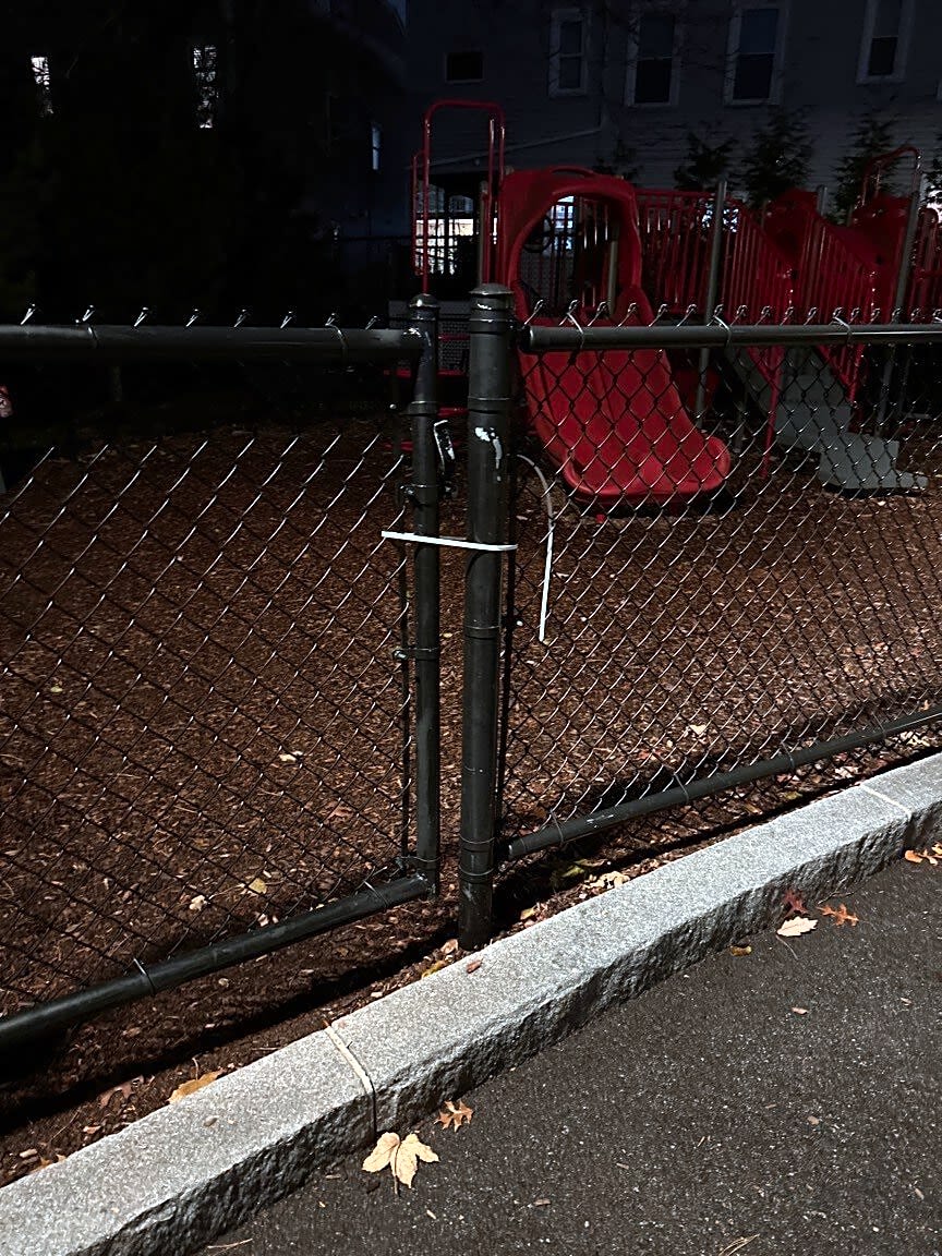 Image submitted with report