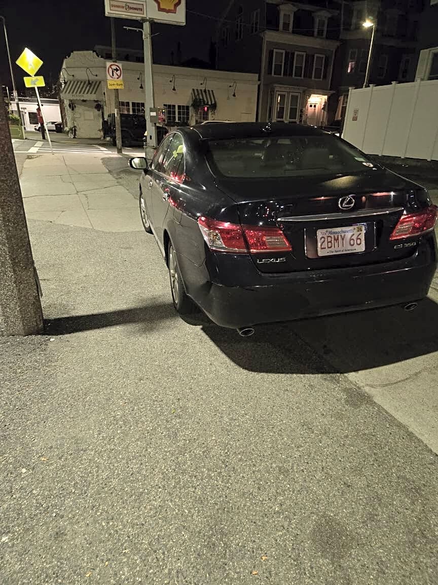 Image submitted with report