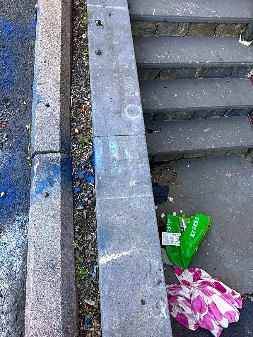 Image submitted with report