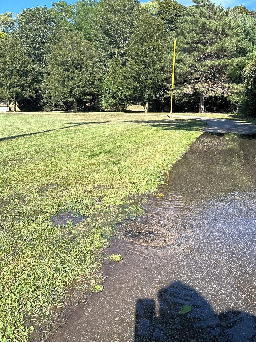 Image submitted with report