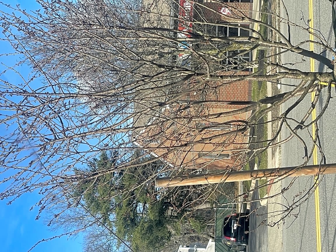 Boston