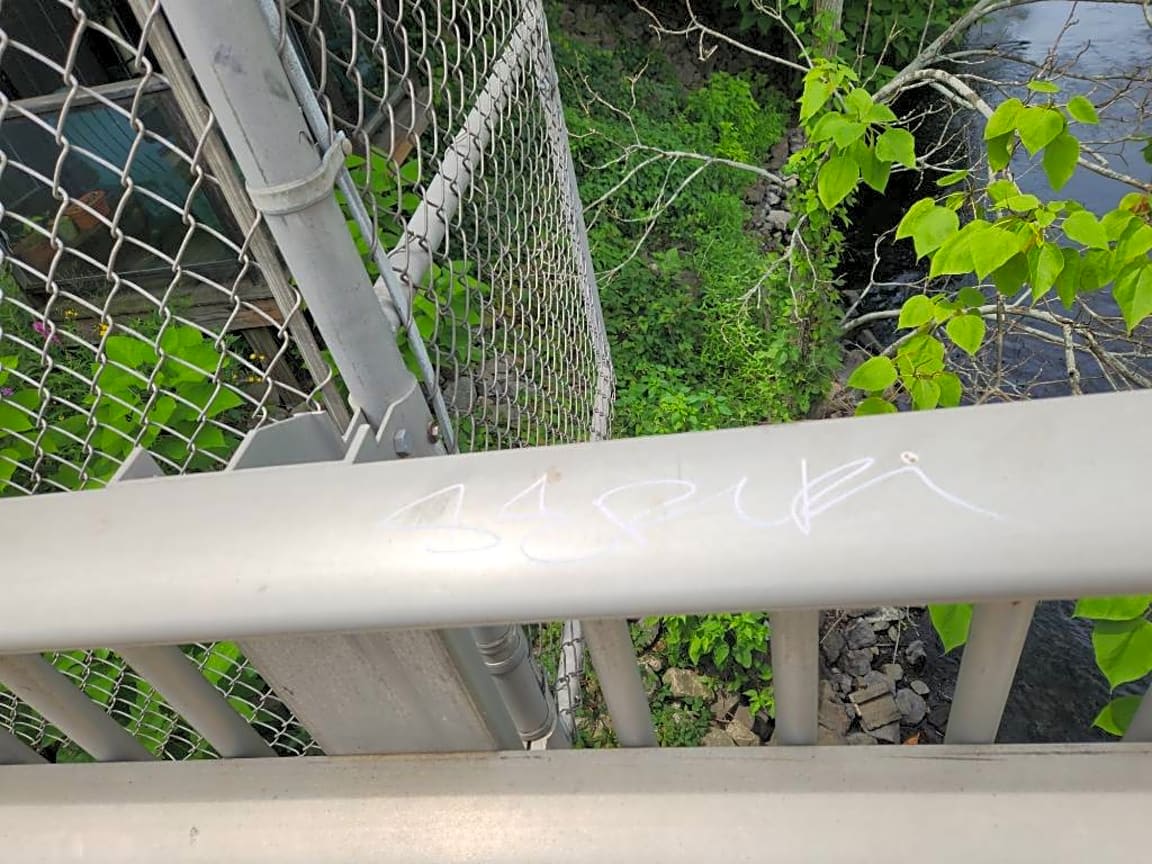 Image submitted with report