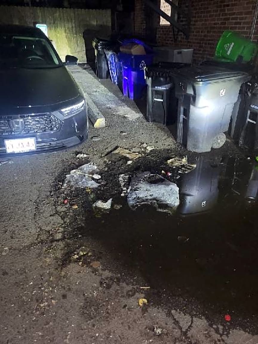 Image submitted with report