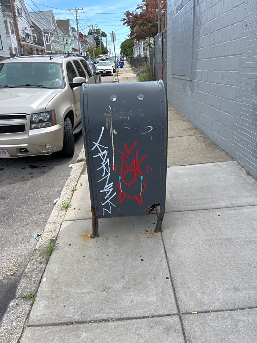 Image submitted with report