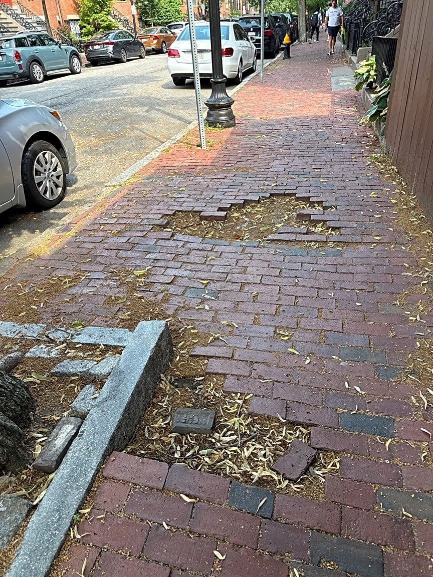 Image submitted with report