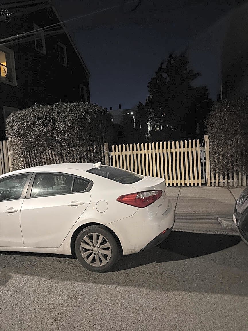 Image submitted with report