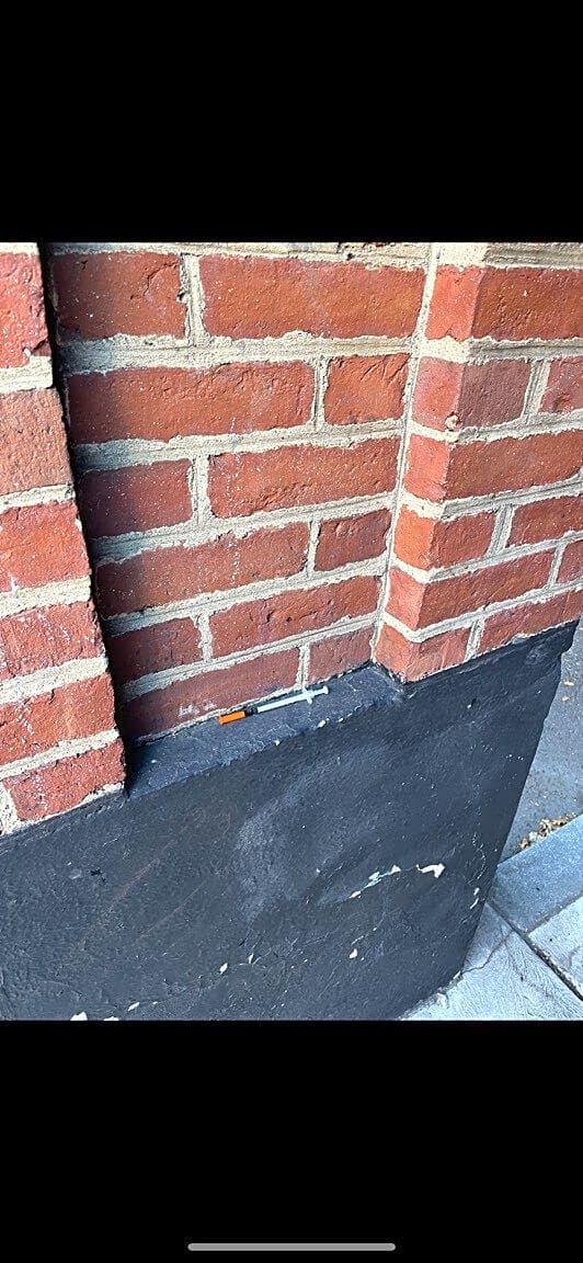 Image submitted with report