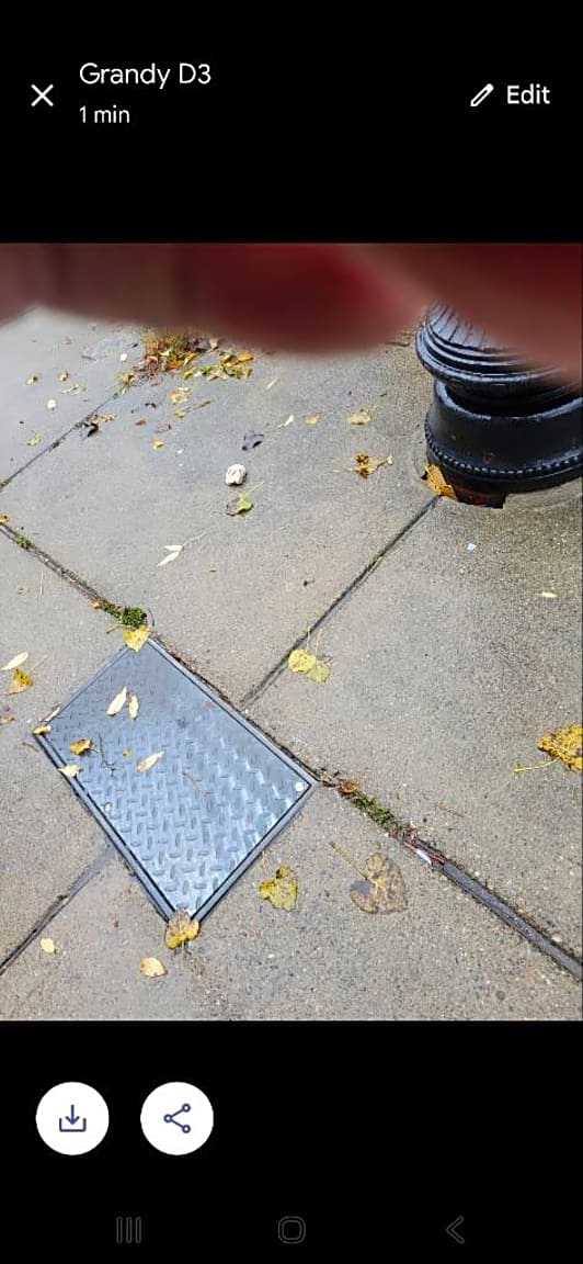 Image submitted with report