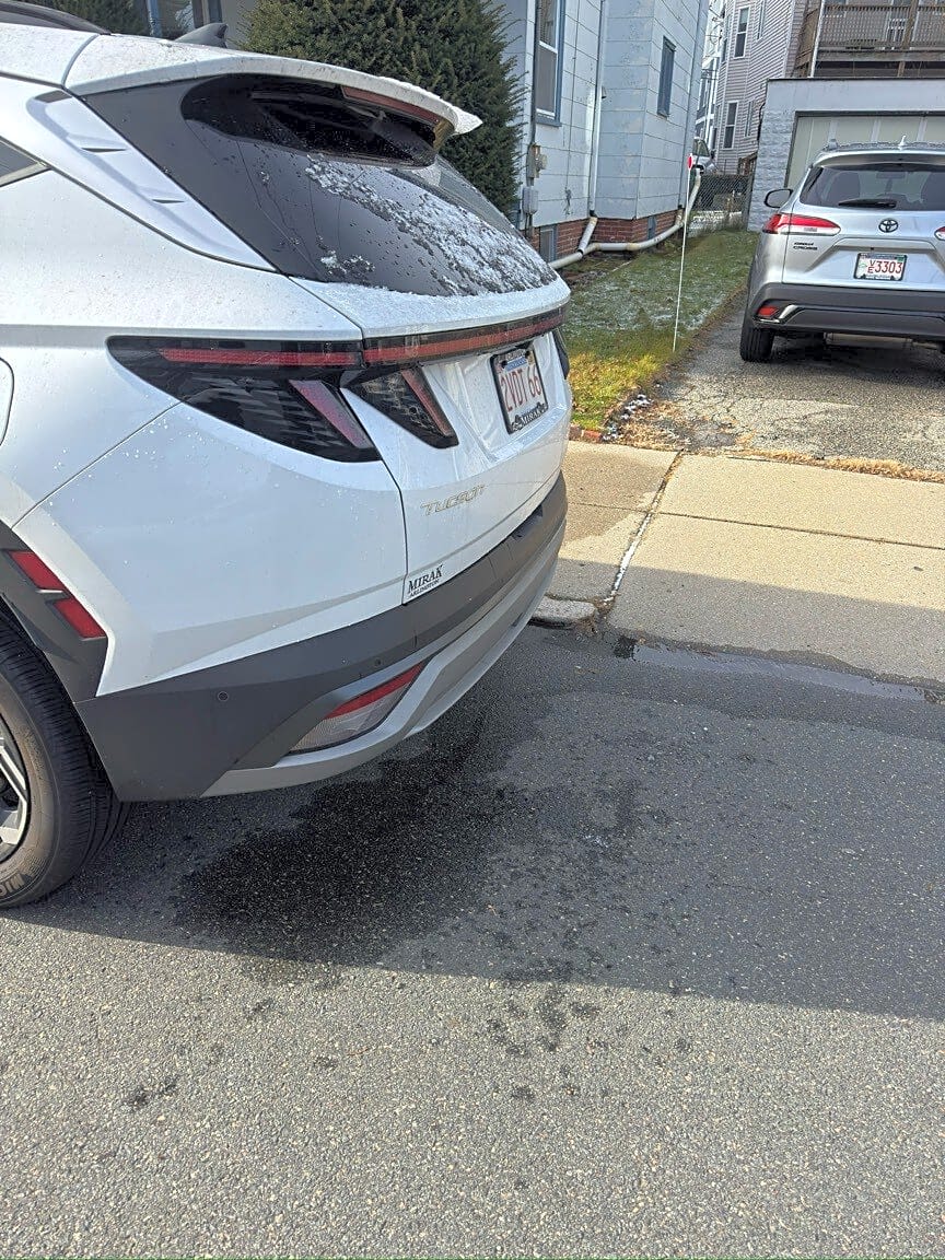 Image submitted with report