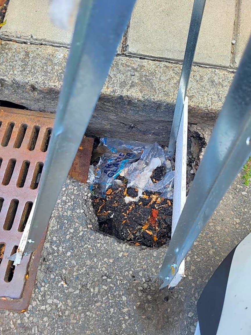 Image submitted with report