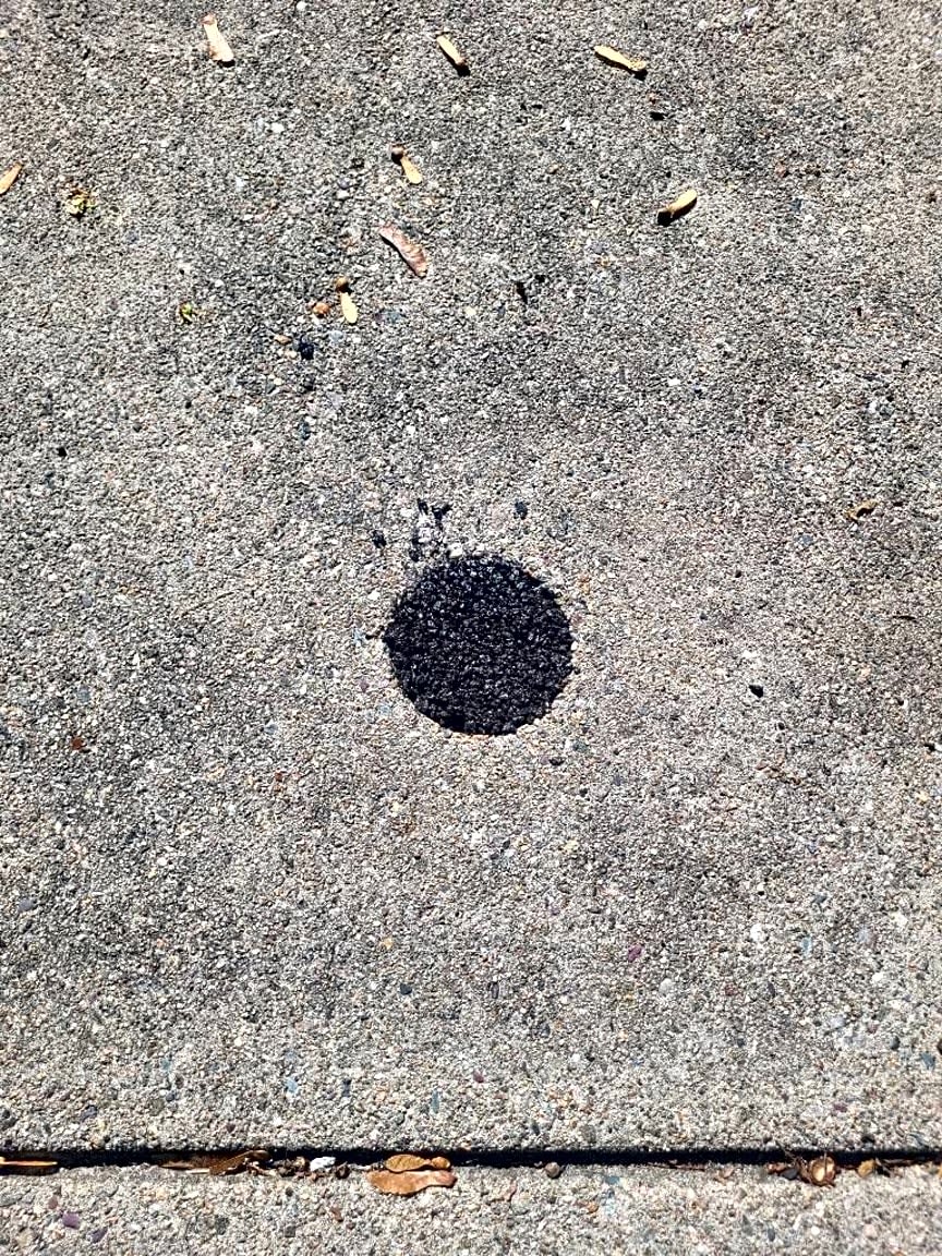 Image submitted with report