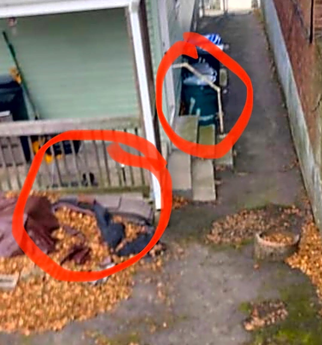 Image submitted with report