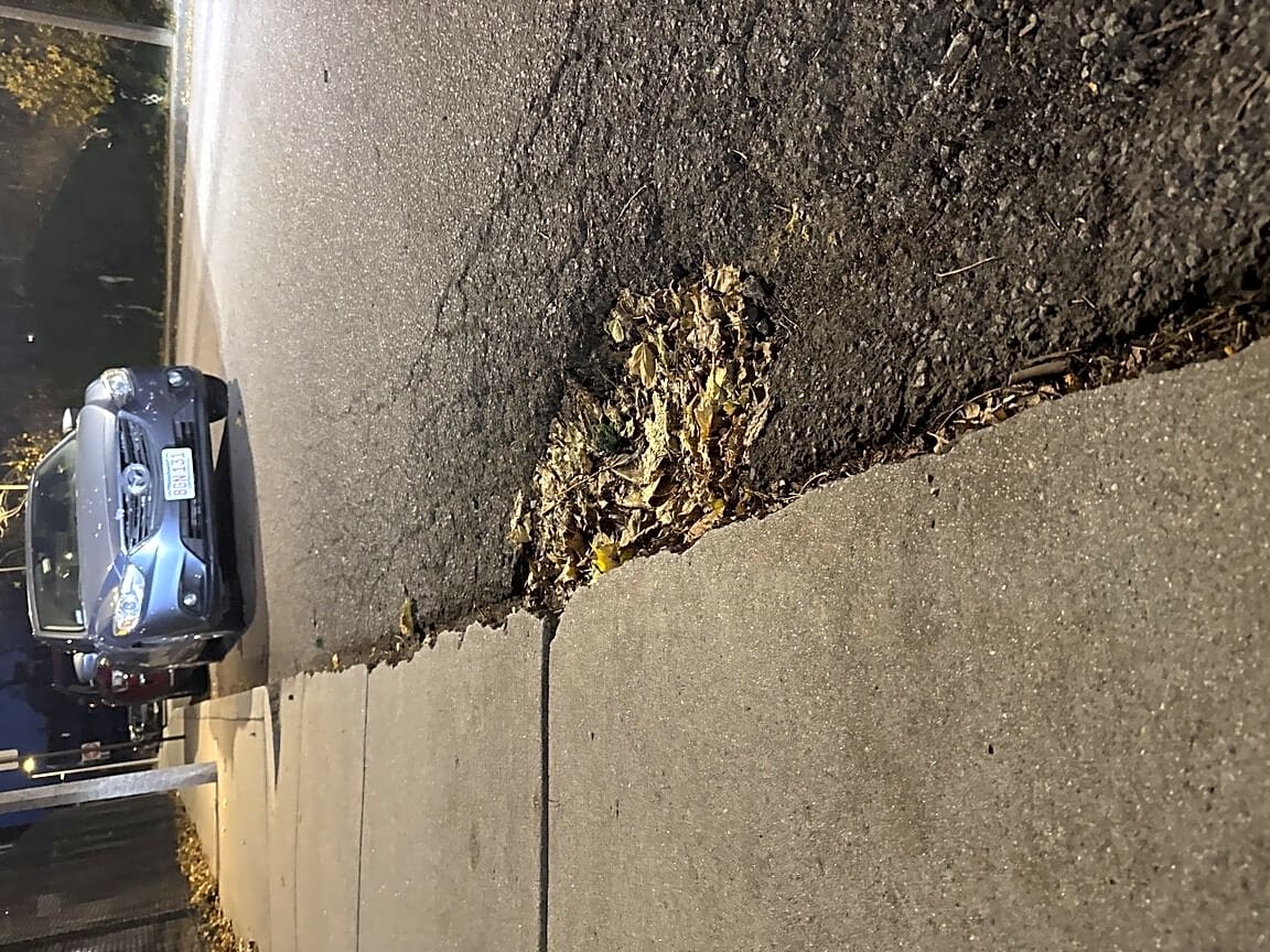 Image submitted with report