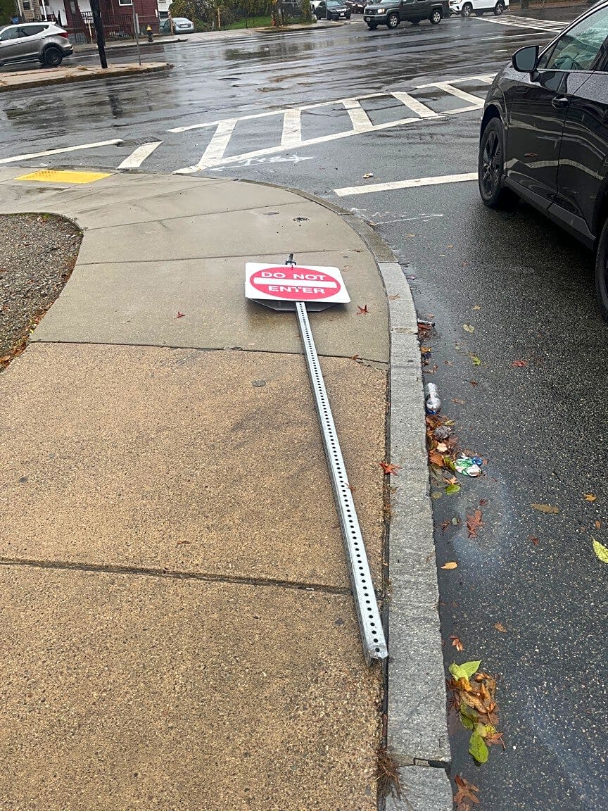 Image submitted with report