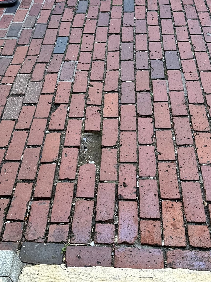 Image submitted with report