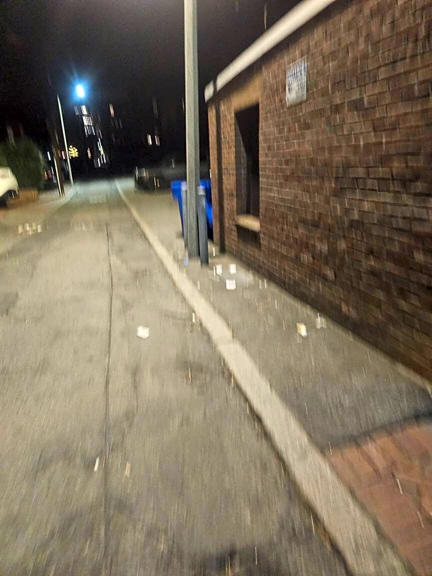 Image submitted with report