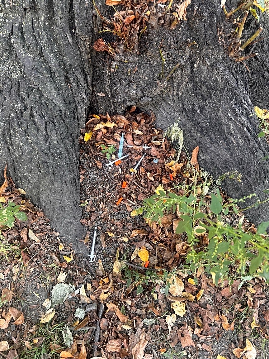 Image submitted with report