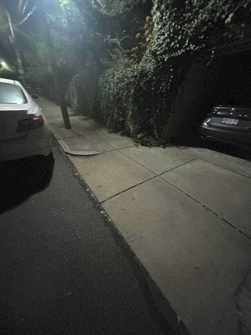 Image submitted with report