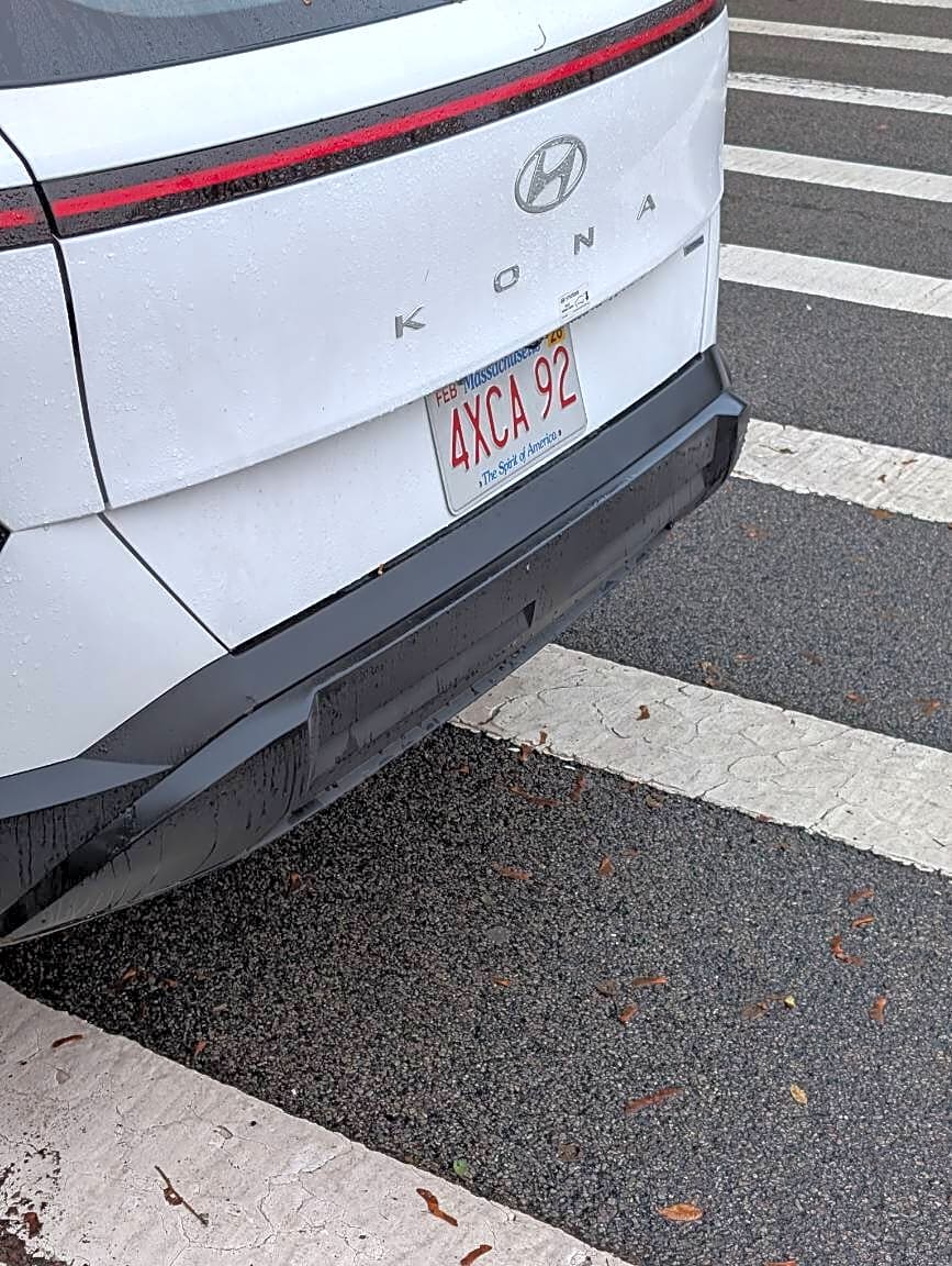 Image submitted with report