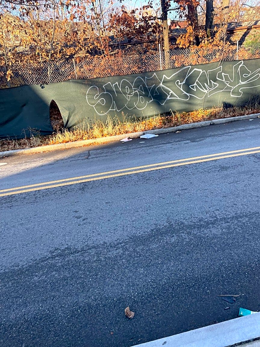 Image submitted with report