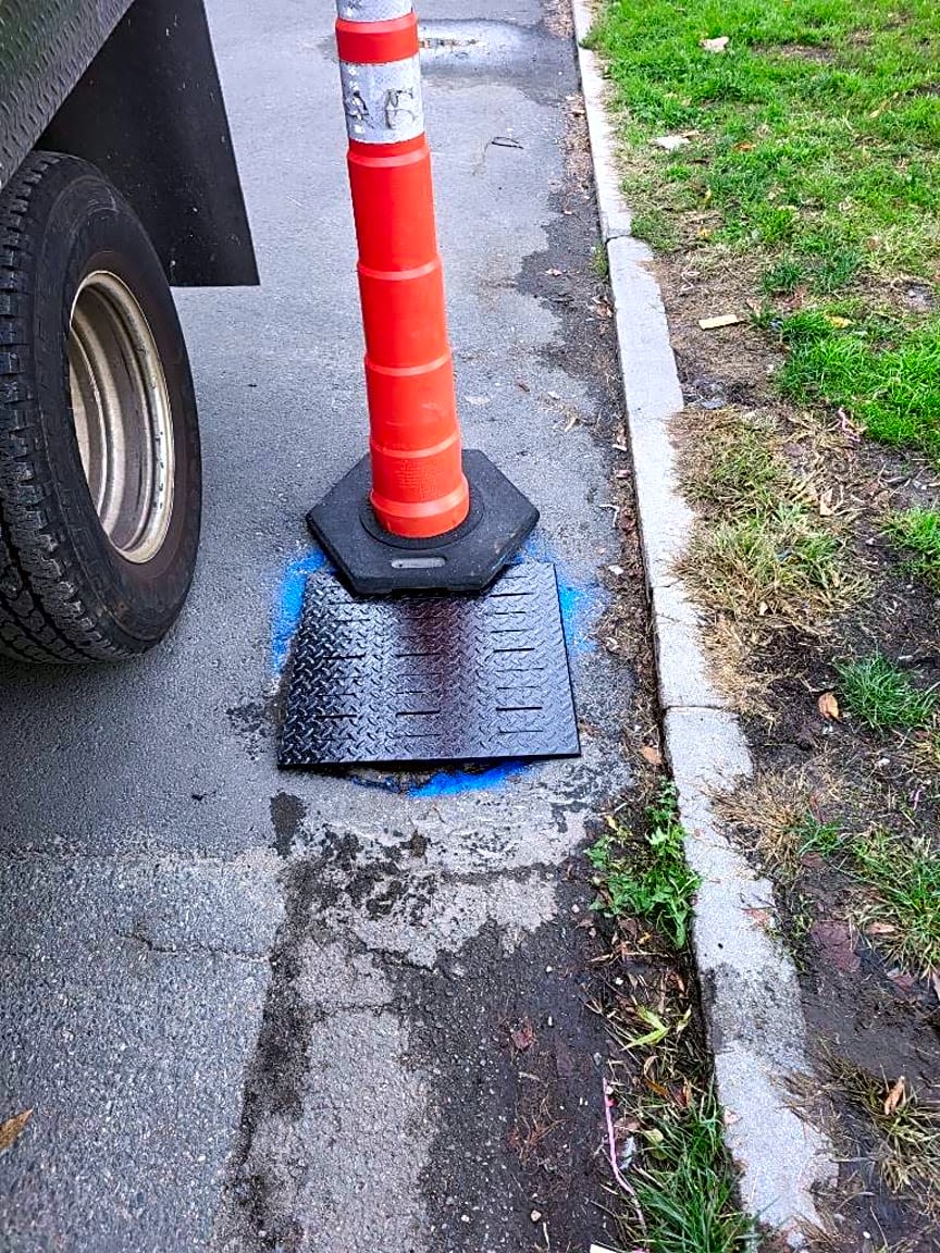 Image submitted with report